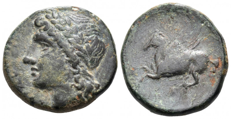 SICILY. Syracuse. Timoleon and the Third Democracy, 344-317 BC. (Bronze, 16.5 mm...