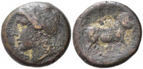 Samnium, Aesernia, c. 263-240 BC. Æ (20mm, 6.83g). Fine
