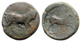 Northern Apulia, Arpi, c. 275-250 BC. Æ (22mm, 7.66g, 6h). Good Fine