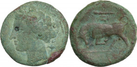 Sicily, Syracuse. Hieron II (275-215 BC). Æ (20mm, 5.20g). Good Fine