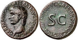(40-41 d.C.). Germánico. As. (Spink 1822) (Co. 4) (RIC. 50, de Calígula). 14,58 g. MBC+.