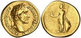 (146 d.C.). Antonino pío. Áureo. (Spink 4034) (Co. 1146) (RIC. 158) (Calicó 1459). 7,17 g. MBC.