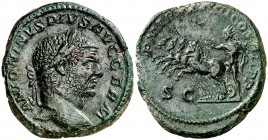 (215 d.C.). Caracalla. As. (Spink 6998) (Co. 291) (RIC. 556). 9,53 g. Pátina verde. EBC-.