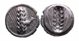 Lucania, Metapontum, ca. 510-470 BC.
Ear of barley with six rows of grains, to the right META, cable border;
Incuse of ear of barley.
Noe Class IX, 15...