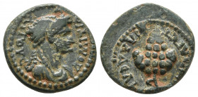 Lydia, Philadelphia, Domitia 81-96 AD
Draped, bare-headed bust of Domitia right
Bunch of grapes
SNG COP 379-380
15.4mm / 2.6g