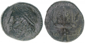 Hieron II. 274-216
Sizilien-Syracuse. AE Didrachme. Kopf des Poseidon nach links - Dreizack mit floralem Innendekor, links und rechts von Delphinen um...
