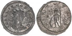 Gallienus 259-268
Römisches Reich - Kaiserzeit. Antoninian. VIRTVS AVG
3,59g
Kampmann 90.213
Silbersud
ss+