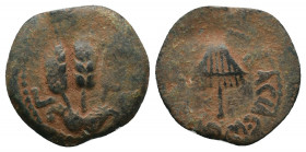 Judaea. Jerusalem. Herodians. Agrippa I CE 37-43. Prutah Æ 2,07gr