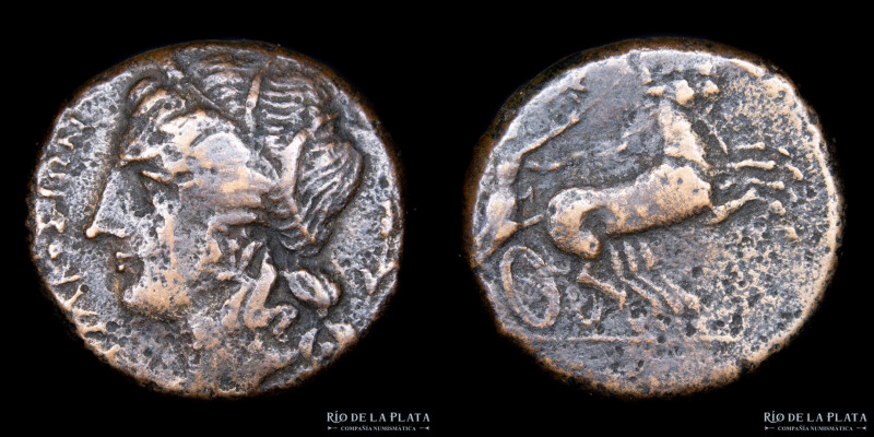 Sicilia. Siracusa. Hiketas II (287-278AC) AE Litra. 23.0mm; 9.91g. A: ΣYPAKOΣIΩN...