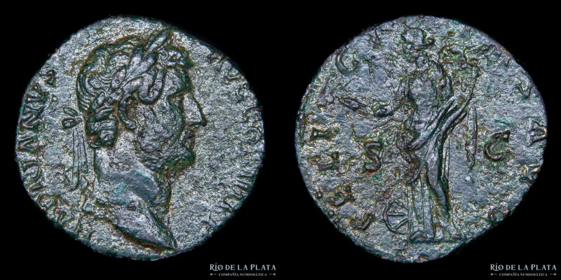 Roma. Adriano 117-138DC. AE Sestercio, Ceca de Roma (134-138DC) 29.0mm; 26.82g. ...