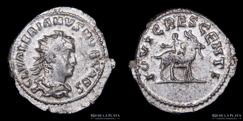 Roma Siglo III, Valeriano II César 253-258DC. AR Antoniniano. Ceca de Tréveri (2...