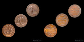 Argentina. Lote x3. 1904. Obras de Salubridad. A clasificar