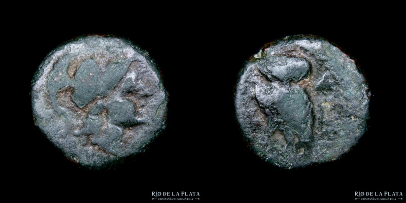 Pidna (Macedonia) AE Unidad, 364-356AC. 11.0mm; 1.33g. A: Cabeza de Atenea con c...