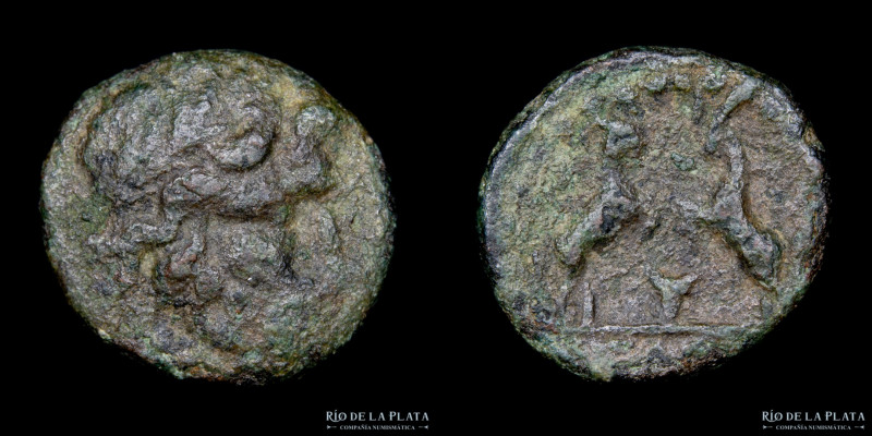 Sagalassos (Pisidia) AE Unidad, siglo I AC. 13.0mm; 1.66g. A: Cabeza laureada de...