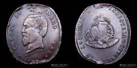 Bolivia. 1877. Premio Expo Industrial de Potosi. Unica. Cobre. RTB 404
