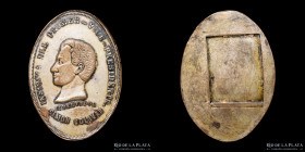Bolivia. 1883. Medalla Vice Presidencial. Simon Bolivar. Bronce. RTB 418