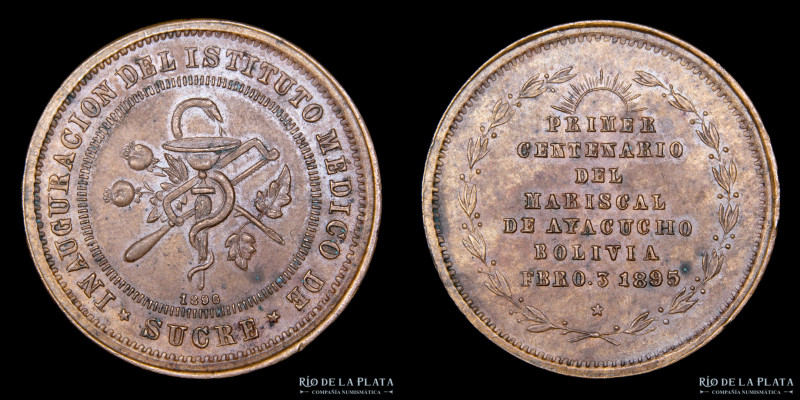 Bolivia. 1895. Medicina. Inauguracion del Institutomedico de Sucre. CU; 29mm; 10...