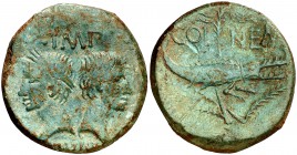 (después 16/15 a.C.). Agripa y Augusto. Galia. Nemausus. Dupondio. (Spink 1729) (Co. 7) (RIC. 155). 10,35 g. Pátina verde. MBC.