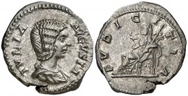 (211 d.C.) Julia Domna. Denario. (Spink 6603) (S. 170) (RIC. 575). 3,17 g. MBC+.