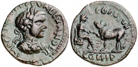 s/d. Alejandro Severo. Misia. Parion. AE 22. (S.GIC. falta) (RPC. VI, 3871). 5,24 g. Ex Numismatik Naumann 04/06/2017, nº 272. EBC-.