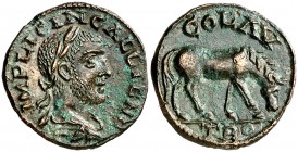 s/d. Galieno. Troas. Alejandría Troas. AE 19. (S.GIC. 4555 var) (BMC. XVII, 173 var). 5,35 g. Ex Numismatik Naumann 07/05/2017, nº 420. EBC.