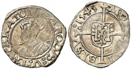 1545. Carlos I. Besançon. 1/2 carlos. (Vti. falta). 0,79 g. MBC.