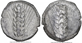 LUCANIA. Metapontum. Ca. 510-470 BC. AR stater (25mm, 7.29 gm, 12h). NGC Choice VF 5/5 - 2/5. META (retrograde), barley ear of seven grains; guilloche...