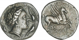 Celtiberian Coins
Dracma. 200-110 a.C. EMPORITON (SANT MARTÍ D´EMPÚRIES, Girona). Anv.: Cabeza de Perséfone a derecha, rodeada por tres delfines. Rev...