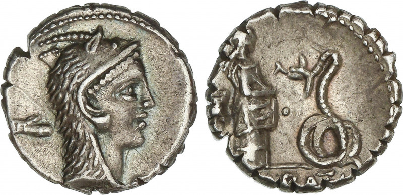 Roman Coins
Republic
Denario. 64 a.C. ROSCIA. L. Roscius. Anv.: Cabeza de Juno...