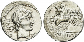 Roman Coins
Republic
Denario. 90 a.C. VIBIA. C. Vibius C. f. Pansa. Anv.: Cabeza laureada de Apolo a derecha, entre PANSA y IIIV. Rev.: Minerva en c...