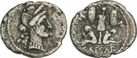 Roman Coins
Empire
Denario. Acuñada el 46-45 a.C. JULIO CÉSAR. GALIA. ESCASA. Anv.: Cabeza diademada de Venus a derecha, detrás Cupido. Rev.: CAESAR...