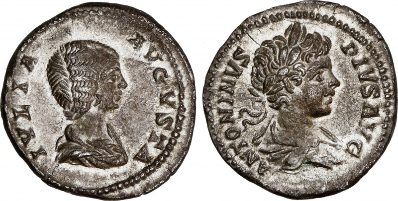 Roman Coins
Empire
Denario. Acuñada el 196-211 d.C. JULIA DOMNA y CARACALLA. R...