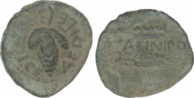 Celtiberian Coins
As. 100-50 a.C. ACINIPO (RONDA. Málaga). Anv.: L. FOLCE AEDILE y estrella. Racimo de uvas. Rev.: Dos espigas, entre ambas ACINIPO. ...