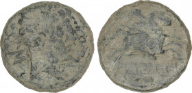 Celtiberian Coins
As. 120-80 a.C. ARCAILICOS (Zona de SORIA-GUADALAJARA). ESCASA. Anv.: Cabeza masculina a derecha delante delfín, detrás leyenda ibé...