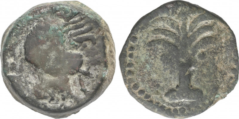 Celtiberian Coins
Calco. 200-100 a.C. BARIA (VILLARICOS, Almería). Anv.: Cabeza...