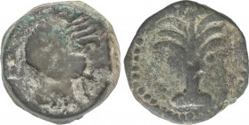 Celtiberian Coins
Calco. 200-100 a.C. BARIA (VILLARICOS, Almería). Anv.: Cabeza de Hércules con piel de león a derecha. Rev.: Palmera. 23,41 grs. AE....