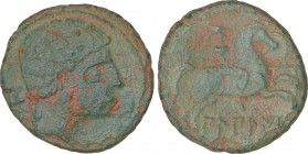 Celtiberian Coins
As. 120-30 a.C. BILBILIS (CALATAYUD, Zaragoza). Anv.: Cabeza masculina a derecha, delante delfín, detrás letra ibérica S. Rev.: Jin...