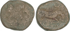 Celtiberian Coins
Semis. 130-90 a.C. UNTISCESCEN (L´ ESCALA, EMPURIES, Girona). Anv.: Cabeza de Palas a derecha, (delante leyenda ibérica). Rev.: Tor...