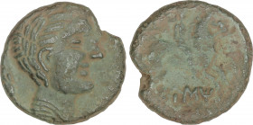 Celtiberian Coins
As. 120-20 a.C. EUSTI. (Zona de CATALUNYA). Anv.: Cabeza masculina a derecha, detrás ánfora. Rev.: Jinete con palma a derecha, deba...