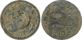 Celtiberian Coins
As. 100-20 a.C. GADES (CÁDIZ). Anv.: Cabeza de Hércules con piel de león a izquierda, detrás clava. Rev.: Dos atunes a izquierda, a...