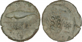 Celtiberian Coins
As. 120-20 a.C. ILSE (ALCALÁ DEL RÍO, Sevilla). Anv.: Sábalo a izquierda, debajo entre líneas ILSE, debajo A. Rev.: Espiga entre cr...