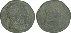 Celtiberian Coins
As. 120-20 a.C. LAIESCEN (BARCELONA). Anv.: Cabeza laureada a derecha. Rev.: Jinete con palma a derecha, debajo leyenda ibéric. 19,...