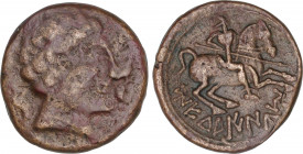 Celtiberian Coins
As. 120-20 a:C. MEDUAINUM (Zona norte del EBRO). MUY RARO. Anv.: Cabeza masculina a derecha entre dos delfines hacia abajo. Rev.: J...