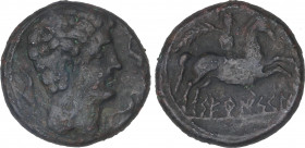 Celtiberian Coins
As. 120-20 a.C. SETEISCEN (SÁSTAGO, Zaragoza). Anv.: Cabeza masculina a derecha, rodeada de tres delfines. Rev.: Jinete con palma a...