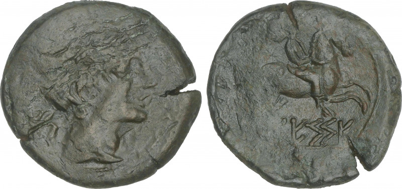 Celtiberian Coins
As. 110-20 a.C. CESSE (TARRAGONA). Anv.: Cabeza masculina a d...