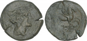 Celtiberian Coins
As. 110-20 a.C. CESSE (TARRAGONA). Anv.: Cabeza masculina a derecha, detrás letras ibéricas N y S. Rev.: Jinete con palma a derecha...