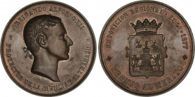Alfonso XII
Medalla Premio al Merito. 1877. EXPOSICIÓN REGIONAL LUGO. Anv.: REINANDO ALFONSO XII - PROTECTOR DE LA CIENCIA Y EL TRABAJO. Busto a dere...