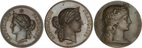 World Medals
Lote 3 medallas. 1876, 1880 y S/F. III REPÚBLICA. FRANCIA. Br. Ø 46 a 50 mm. Concurs Regional Hippique d´ Arras, Francs-Tireurs Parisien...