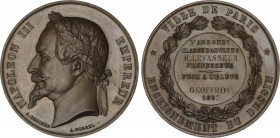 World Medals
Prix a l´ eléve. 1867. NAPOLEON III. ENSEIGNEMENT DU DESSIN. VILLE DE PARIS. FRANCIA. Anv.: NAPOLEON III EMPEREUR. Busto laureado a izqu...