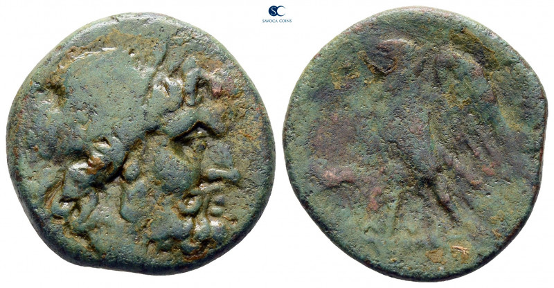 Bruttium. The Brettii circa 214-211 BC. 
Unit Æ

22 mm, 6,26 g



nearly ...